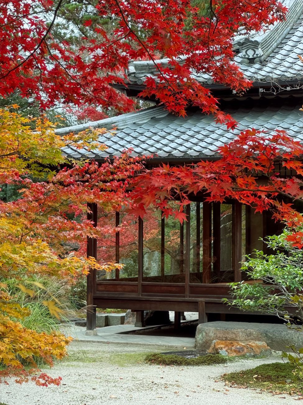 Traditional Japanese tea set overlooking zen garden